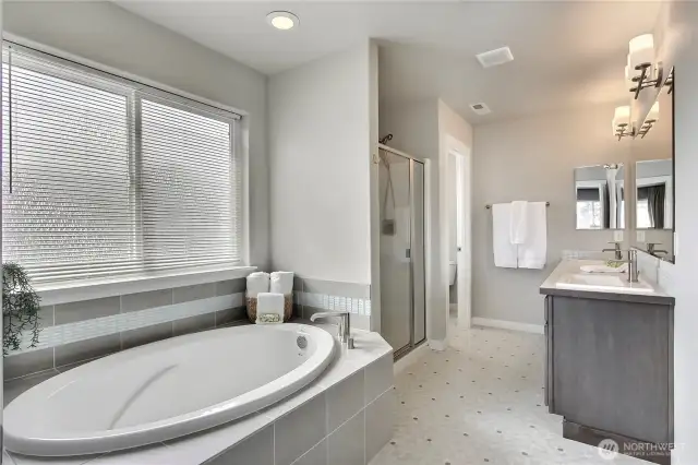 Separate soaker tub and shower.