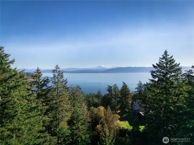 Trees cleared to maximize the view from the would be second story living room window