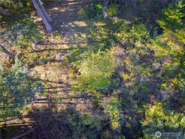 Ariel shot of future build site