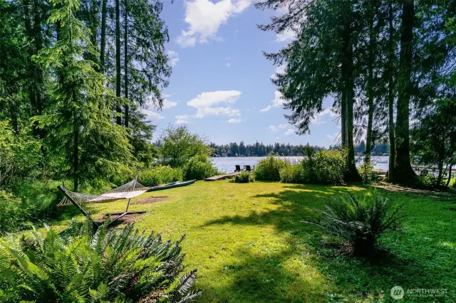 Large sunny yard