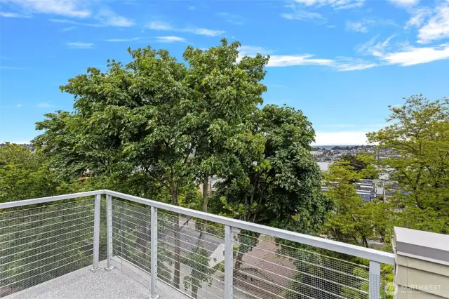 Roof with Lake View