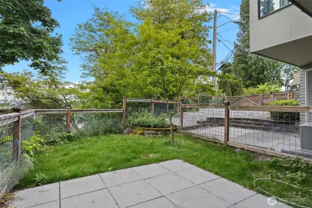 Backyard with View