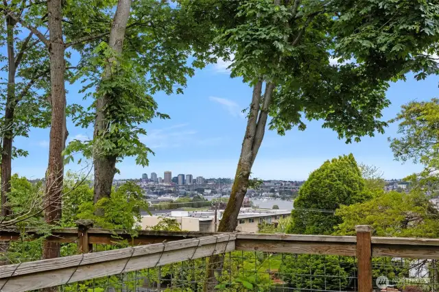 Backyard with View