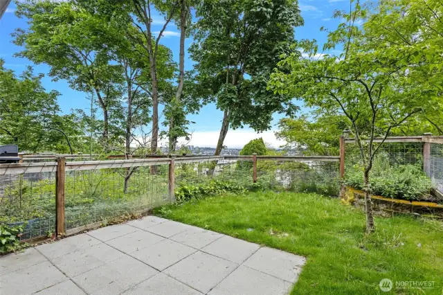 Fully fenced backyard with view