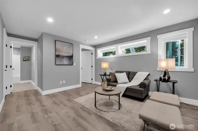 Basement Living Room