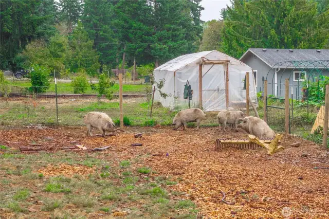 How about your own greenhouse for a longer growing season?