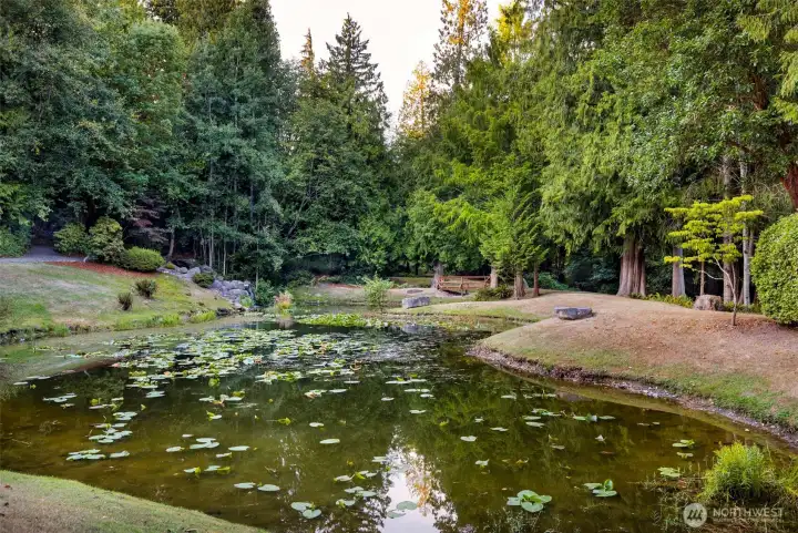 All this beauty comes with your Ambleside HOA! This, plus 5 acres of walking trails!