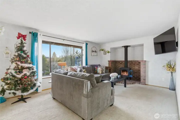 Cozy gas fireplace in the living room