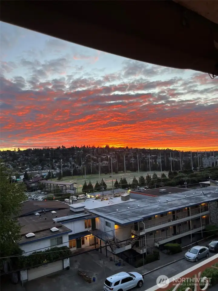 View of Magnolia and the Interbay Golf and athletic fields from your balcony