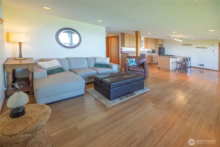 Lower Unit Great Room