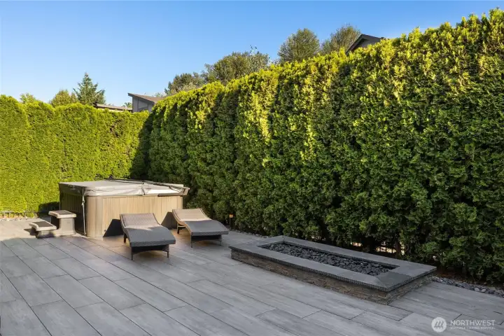 Manicured hedge creates great privacy Manicured hedge creates great privacy
