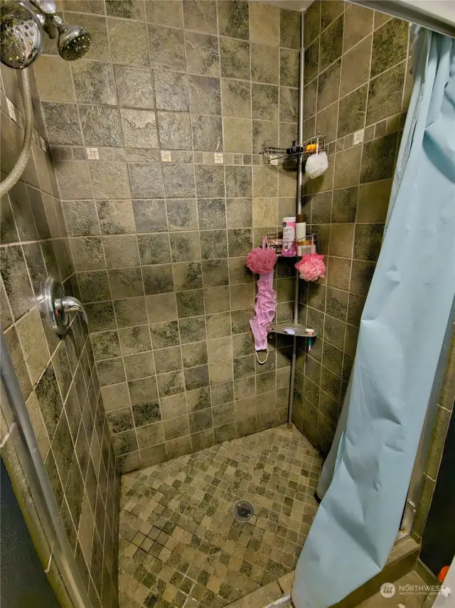 Downstairs Shower