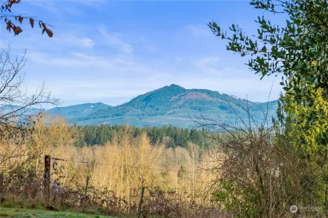 View property in Arlington, WA looking at The Cascade Mountain range providing a scenic backdrop for any development or recreation.Level and secluded. Bluff over the fence to E Division st.