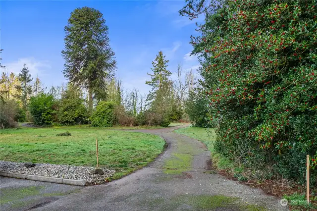 Entering the property, road access. Facing North. Monkey Puzzle tree off center of the middle of property.