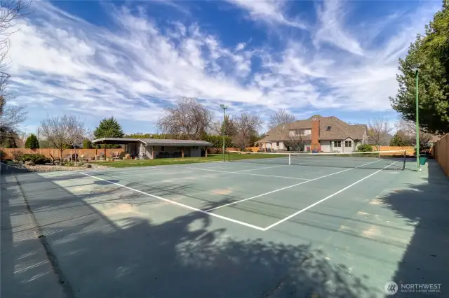 Back yard Pickleball/Tennis/Basketball Court