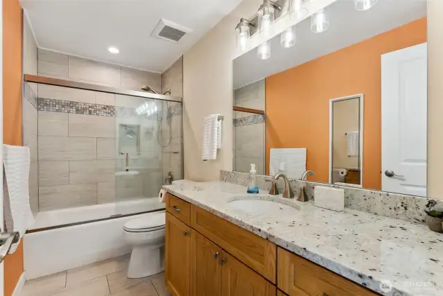 Lower level Bathroom