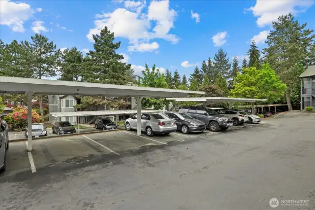 1 Assigned Carport and 1 free space