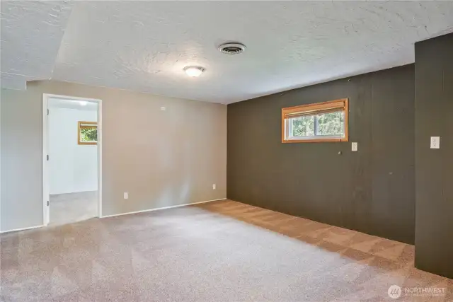Lower level rec room