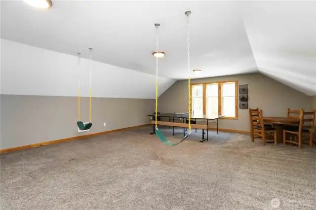 Bonus room fun...swings included!