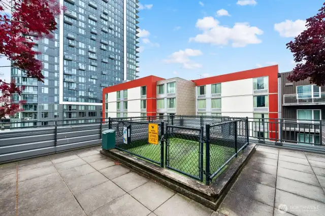 Pet relief area on the rooftop deck.