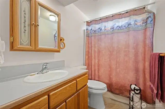 Full guest bathroom.