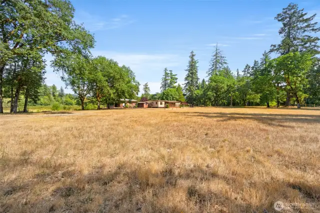 Flat pasture.