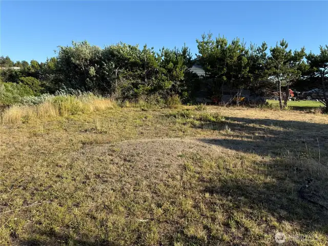 Oversized lot ready to develop.