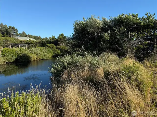 Fishing, wildlife watching, or just relaxing at the water's edge.