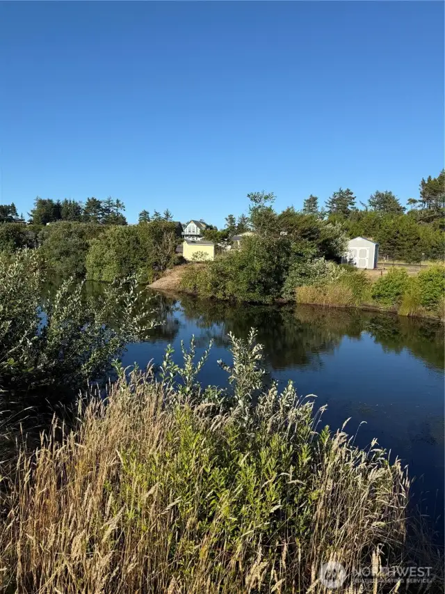 Canoeing, paddle boating and walks to the beach. It is all here.