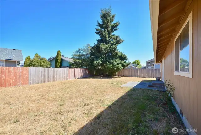 Fully fenced backyard