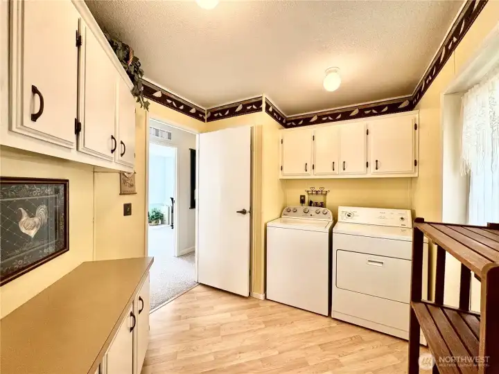 Large Laundry room with extra storage