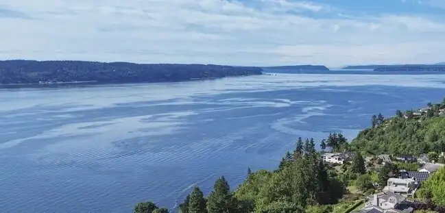 Drone photo looking north