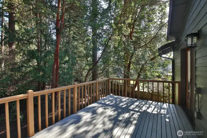 There are Madrona and Evergreen trees bordering the back property line.