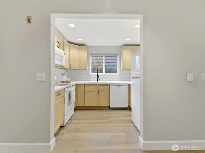 New Countertops, Cabinets and Refrigerator