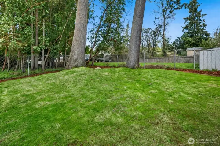 Enclosed fenced yard, yard expands past the fence line on the left side of image through the trees.
