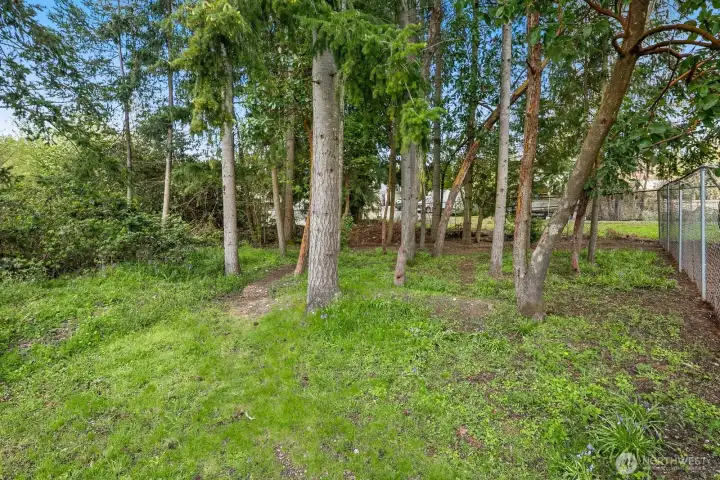 Conveniently located near the Mountlake Terrace Transit Center, I-5, parks, and local amenities