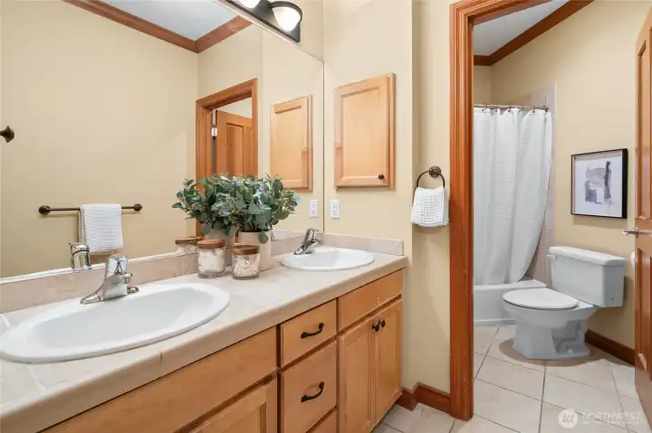 One of the well appointed guest bathrooms.