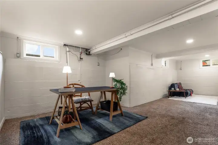 Basement flex spaces!