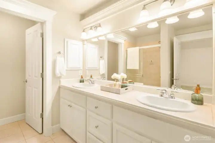 Plenty of counterspace in your primary bath.