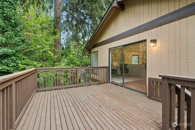 UPPER LEVEL DECK OFF THE DINING ROOM | BBQ anyone? Here's your spot! Enjoy the serenity of your backyard with a bird's eye view from here. All decks freshly painted, too.