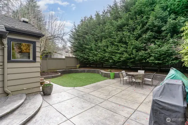 Huge backyard with beautiful patio and turf for low maintenance living. Sunny and private and a great place to have a bbq.