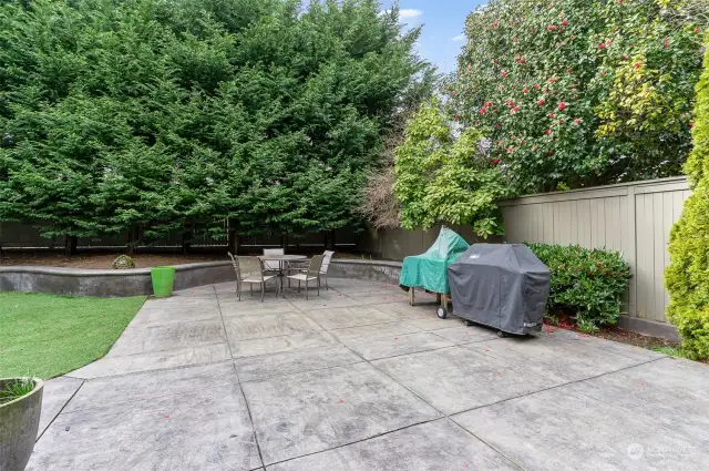 Elegant patio with ample room to add a fire-pit and gather outside in the summer evenings.