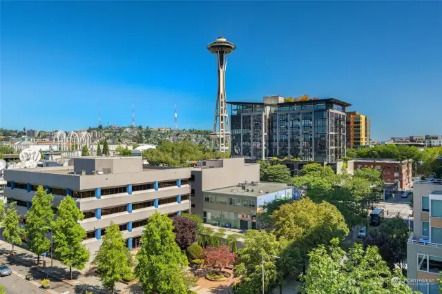 Fabulous Space Needle views