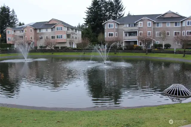 Second view of path and pond