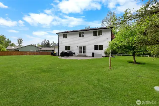 Big Level Lawn in Back Yard