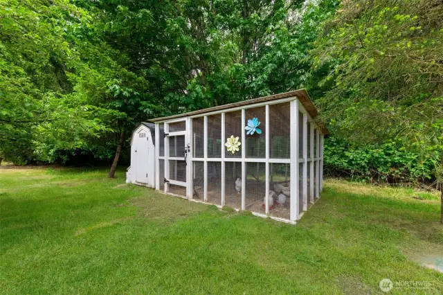 Chicken Coop in Back Yard