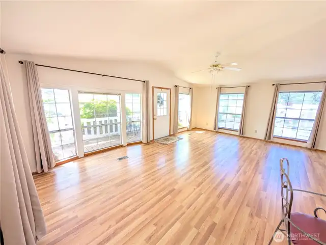 Windows galore!