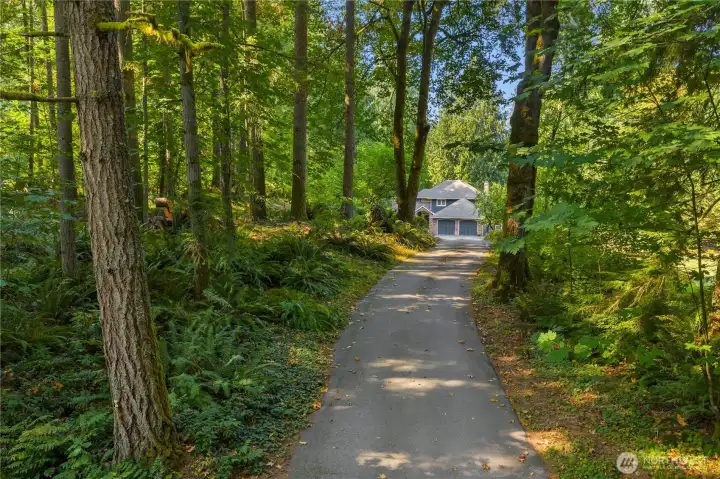 Tucked away down a private drive, this peaceful retreat offers unmatched privacy and tranquility, surrounded by lush forest and the quiet beauty of nature.