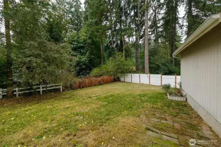 Backyard