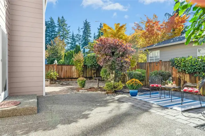 Low maintenance back yard